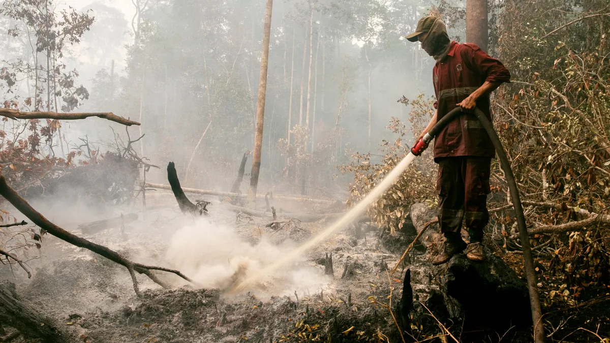 Kepulan asap putih keluar dari celah akar tanah gambut akibat fenomena smoldering combustion